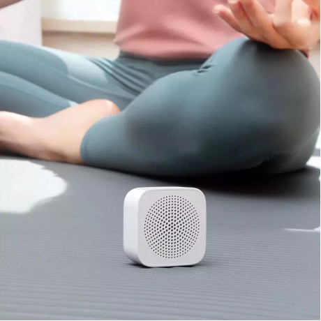 Xiaomi Bluetooth Mini Hoparlör 2020 